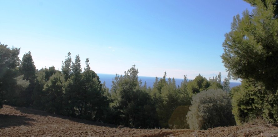 9500m² Land en Chalkidiki, Greece No. 58977