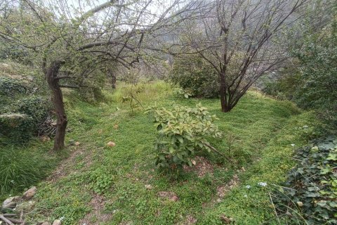 2 rooms Land in Oba, Turkey No. 13379 8