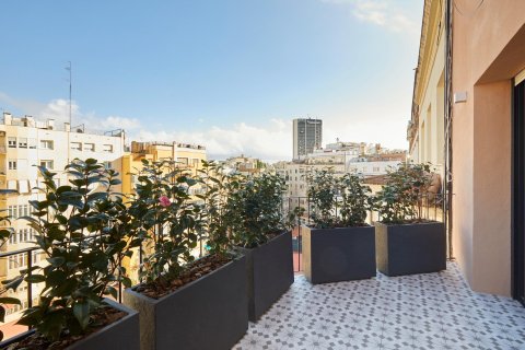 3 chambres Appartement à Barcelona, Spain No. 27832 14