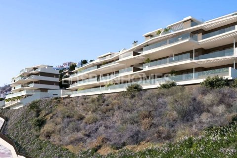 2 bedrooms Apartment in Rincon de la Victoria, Spain No. 27834 4