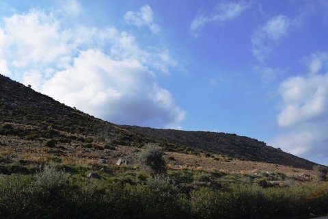 39460m² Land à Rethymno, Greece No. 57814 4