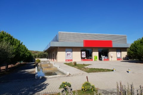 600m² Business in Chalkidiki, Greece No. 57812 2