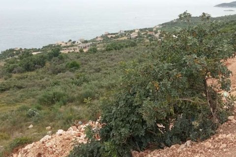 Land in Zakynthos, Greece No. 24500 7