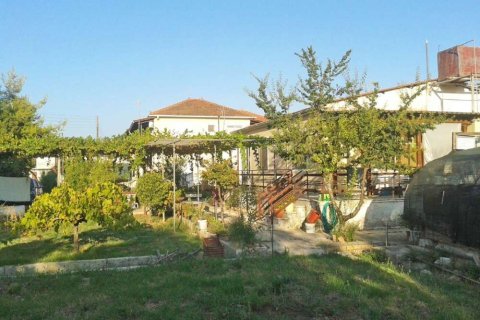 6 dormitorios House en Zakynthos, Greece No. 24502 20