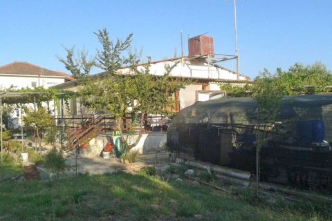 6 dormitorios House en Zakynthos, Greece No. 24502 15