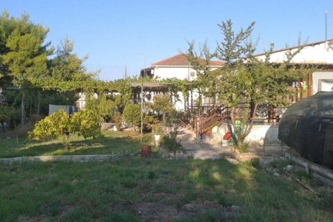 6 dormitorios House en Zakynthos, Greece No. 24502 11