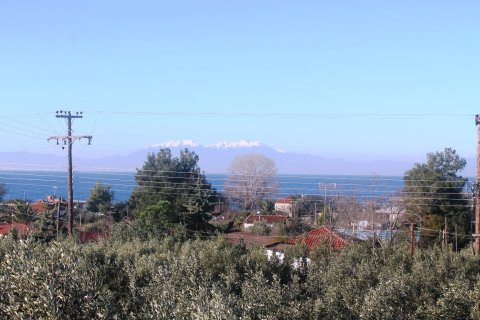 22000m² Land en Chalkidiki, Greece No. 59979 4