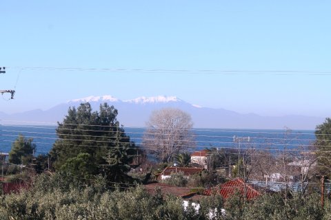 22000m² Land in Chalkidiki, Greece No. 59979 6