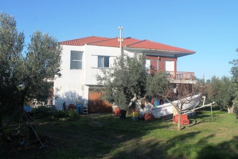 22000m² Land à Chalkidiki, Greece No. 59979 26