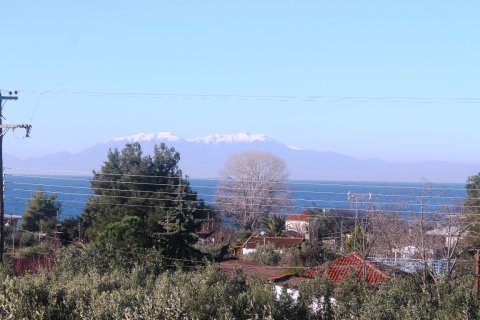 22000m² Land à Chalkidiki, Greece No. 59979 3