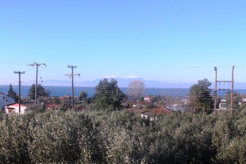 22000m² Land in Chalkidiki, Greece No. 59979 5