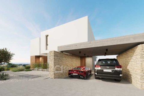 6 bedrooms Villa in Pegeia, Cyprus No. 73206 4