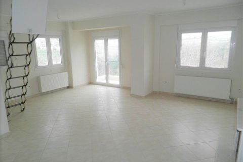 Здание 525м² в Салоники, Греция №57073 15