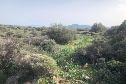 10967m² Land in Porto Rafti, Greece No. 24469 5