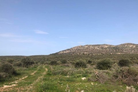 10967m² Land in Porto Rafti, Greece No. 24469 11