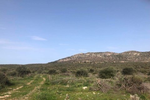 10967m² Land in Porto Rafti, Greece No. 24469 6