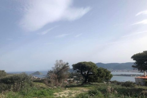 10967m² Land in Porto Rafti, Greece No. 24469 7