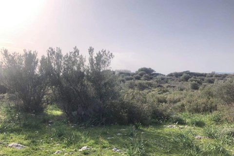 10967m² Land in Porto Rafti, Greece No. 24469 2