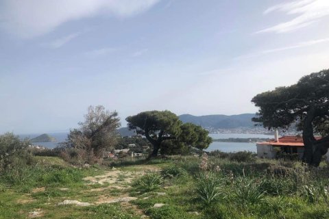 10967m² Land in Porto Rafti, Greece No. 24469 9