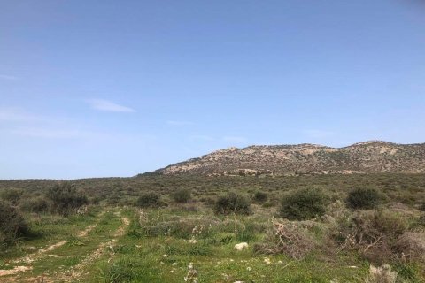 10967m² Land in Porto Rafti, Greece No. 24469 8