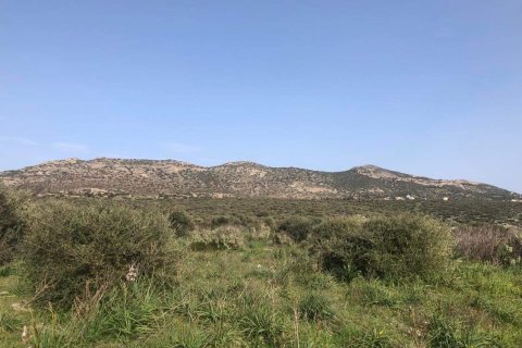 10967m² Land in Porto Rafti, Greece No. 24469 10