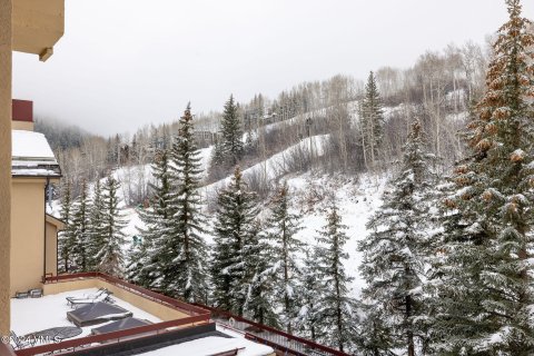 4 bedrooms Condo  in Beaver Creek, USA No. 71845 10