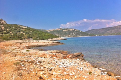 8325m² Land in Marathon, Greece No. 59372 3