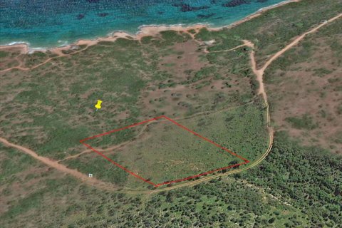 8325m² Land in Marathon, Greece No. 59372 5