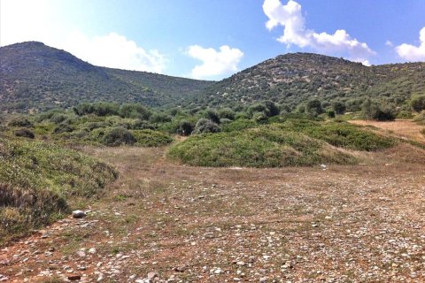 8325m² Land à Marathon, Greece No. 59372 7