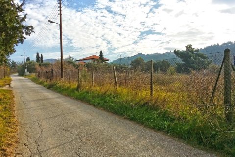 5274m² Land en Pylaia, Greece No. 59297 2