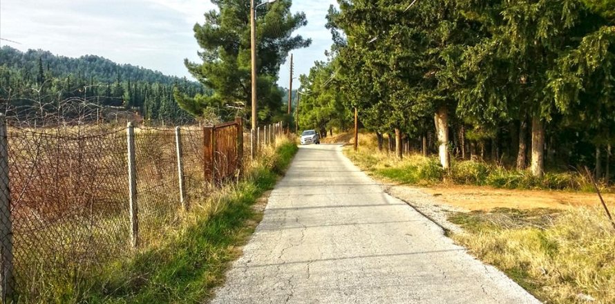 5274m² Land à Pylaia, Greece No. 59297