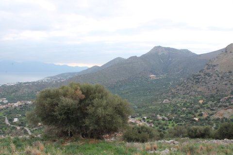 4060m² Land in Agios Nikolaos, Greece No. 57706 7