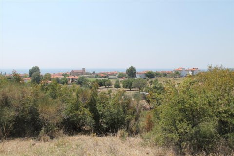 8000m² Land en Chalkidiki, Greece No. 60107 8