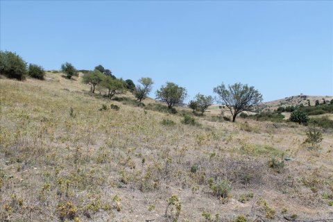 8000m² Land in Chalkidiki, Greece No. 60107 4