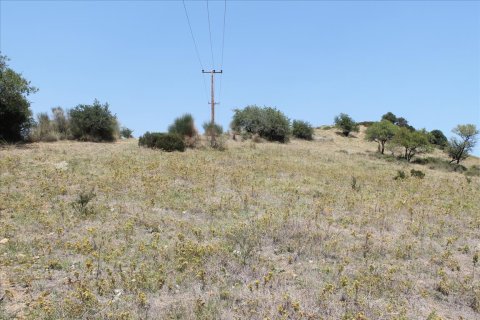 8000m² Land in Chalkidiki, Greece No. 60107 3