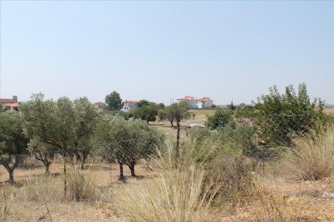 8000m² Land en Chalkidiki, Greece No. 60107 6