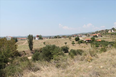 8000m² Land in Chalkidiki, Greece No. 60107 2