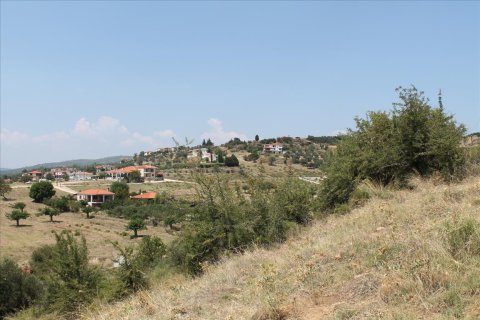 8000m² Land à Chalkidiki, Greece No. 60107 1