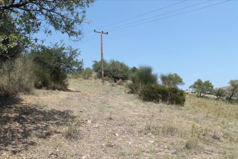 8000m² Land en Chalkidiki, Greece No. 60107 5