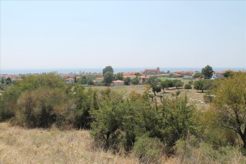 8000m² Land à Chalkidiki, Greece No. 60107 9