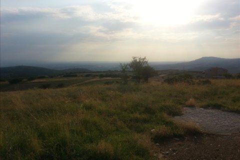 10000m² Land in Chortiatis, Greece No. 60108 1