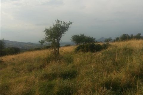 10000m² Land in Chortiatis, Greece No. 60108 5