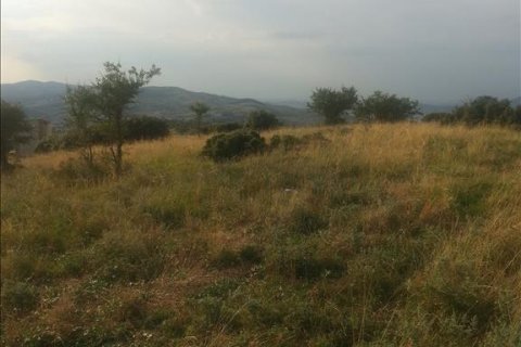 10000m² Land en Chortiatis, Greece No. 60108 4