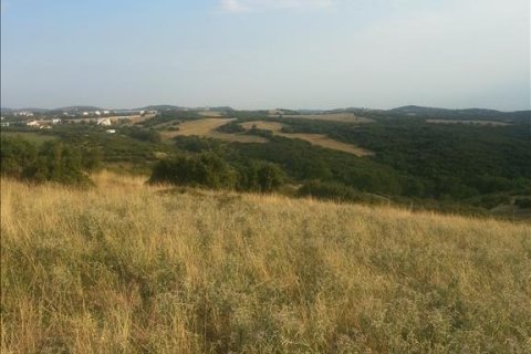 10000m² Land en Chortiatis, Greece No. 60108 3