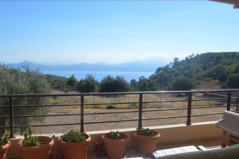 5 bedrooms Villa in Peloponnese, Greece No. 49646 10