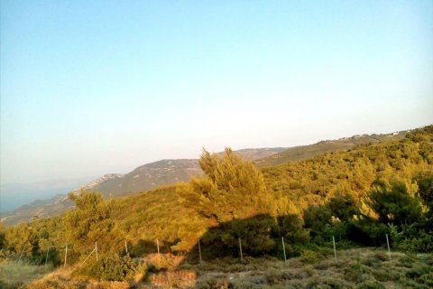 7300m² Land à Kalamos, Greece No. 59535 3