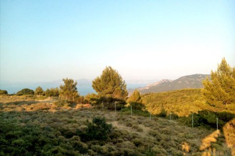 7300m² Land en Kalamos, Greece No. 59535 1