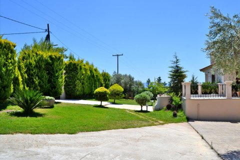 550m² House à Euboea, Greece No. 59536 4