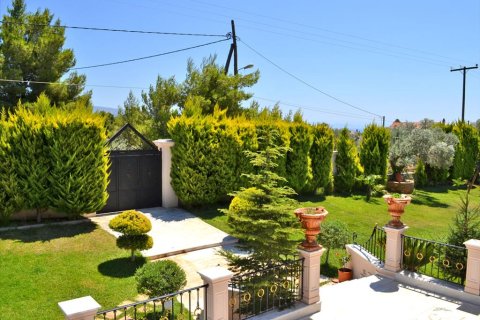 550m² House en Euboea, Greece No. 59536 12