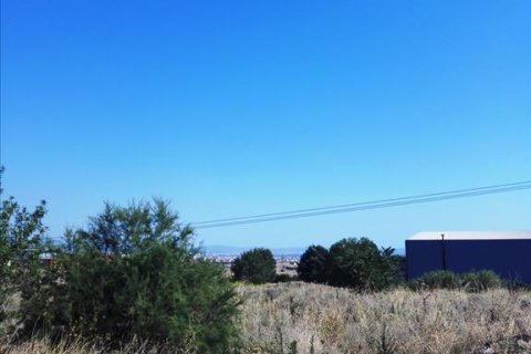 37500m² Land in Evosmos, Greece No. 59534 2